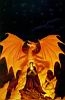Michael Whelan - Dragon et sorcier 29